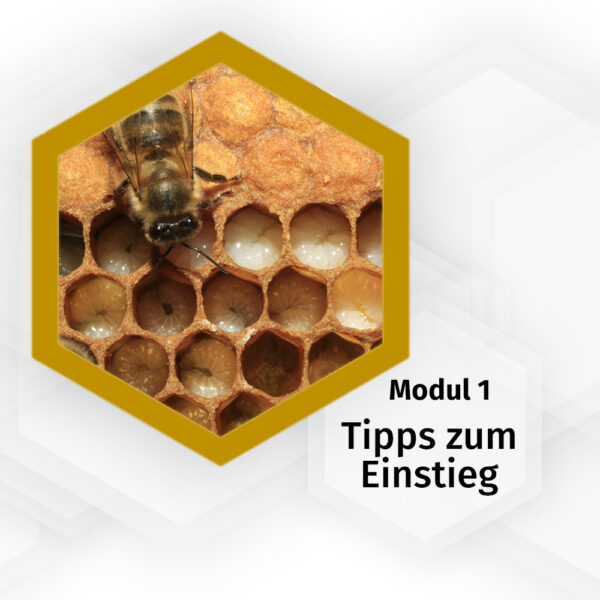 49511_tipps-zum-einstieg-imkerkurs-pia-aumeier_logo
