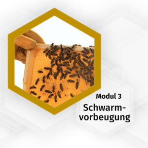 49512-002_schwarmvorbeugung-modul-3-pia-aumeier_logo