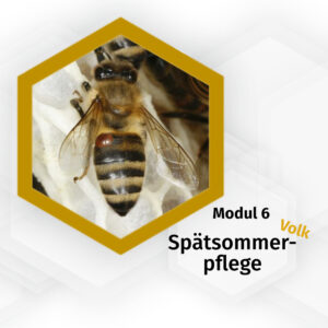 49512-005_spaetsommerpflege-volk-modul-6-pia-aumeier_logo