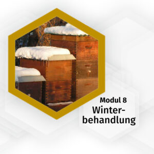 49512-007_winterbehandlung-modul-8-pia-aumeier_logo