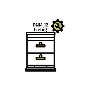 DNM 12 Deutsch Normal Liebig Bausatz