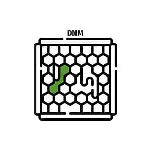 DNM - Deutsch Normalmaß