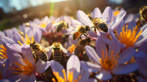 Honigbienen und Wildbienen in Blumenwiese