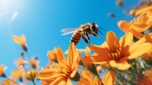 biene auf blume