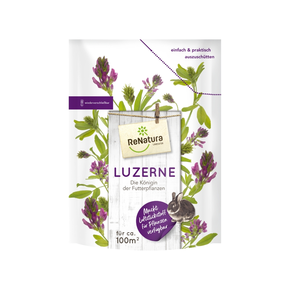 Luzerne Saatgut  500g fr 100 m Futterflche