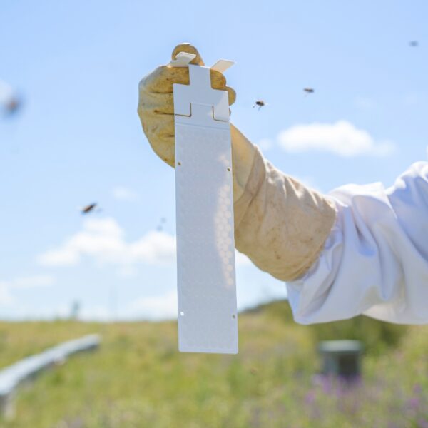 71501_calistrip_biox_Oxalsäure_Streifen_g556.jpg