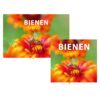 10370_Bienenkalender_2026_f3v3.jpg