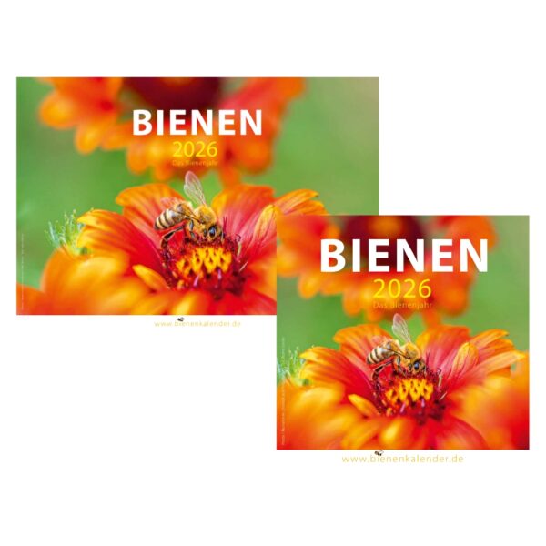 10370_Bienenkalender_2026_f3v3.jpg