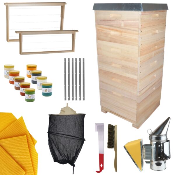 49222_Starterset_Dadant_MODERNE_MAXI_konisch_33c3.jpg