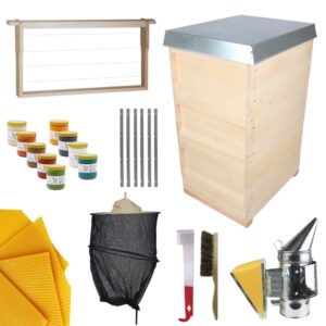 49256_Starterset_DNM_Zander_TRADITIONELLE_konisch_33ff.jpg