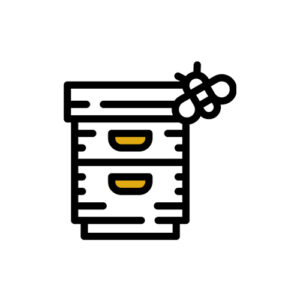 Ablegerkasten DNM aus Holz "5 Waben"