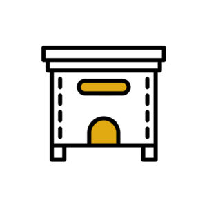 Ablegerkasten DNM aus Holz "5 Waben"