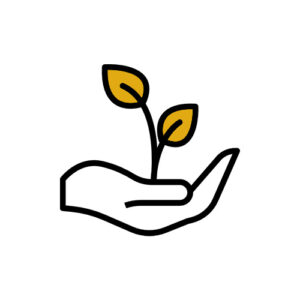 2.WAHL DNM Deutsch Normal Rähmchen - Ganzzarge Hoffmann - gedrahtet