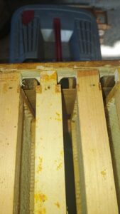 Biene+ Abstandsrechen Länge 460 mm Dadant US