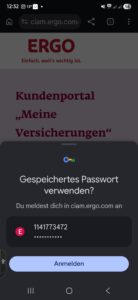 Biene+ PREMIUM Glukose-Fruktose Sirup für ein verbessertes Brutbild - 14 KG Kanister