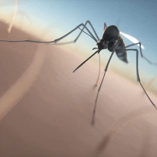 92001_heat-it-stichheiler-iphone-lightning-anwendung_logo.gif
