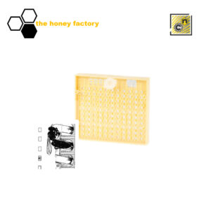 82101_cupularve-nicot_logo