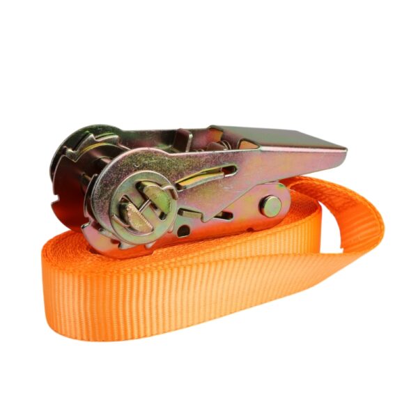 10112_Biene_PLUS_Spanngurt_mit_Ratsche_orange_vf41.jpg