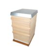 12630_Dadant_10_US_Bienenbeute_SET_SYSTEMBEUTE_MONTIERT_Kunststoff_Boden_konisch_df5t-jpg 12630_Dadant_10_US_Bienenbeute_SET_SYSTEMBEUTE_MONTIERT_Kunststoff_Boden_konisch_df5t.jpg