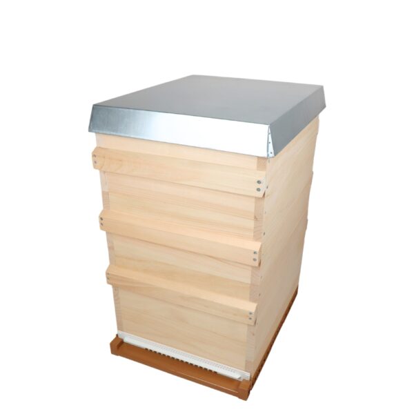 12630_Dadant_10_US_Bienenbeute_SET_SYSTEMBEUTE_MONTIERT_Kunststoff_Boden_konisch_df5t-jpg 12630_Dadant_10_US_Bienenbeute_SET_SYSTEMBEUTE_MONTIERT_Kunststoff_Boden_konisch_df5t.jpg