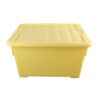10410_Transportbox_Zander_DNM_vbz1.jpg