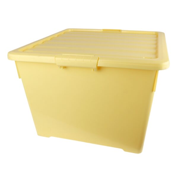 10412_Transportbox_fuer_DNM_Zander_1_5_MAXI_Waben_hj78.jpg